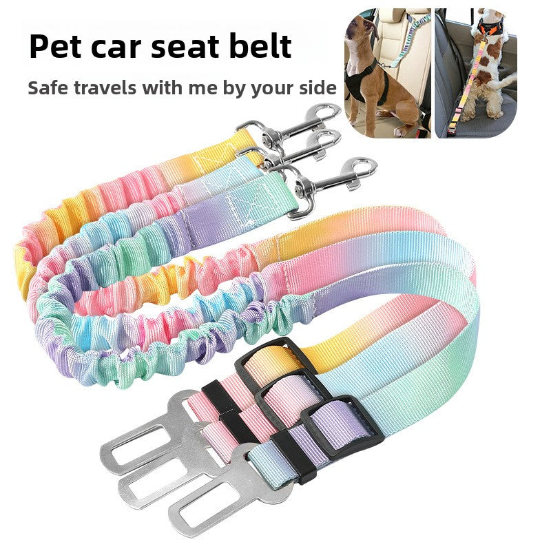 Pet dog leash