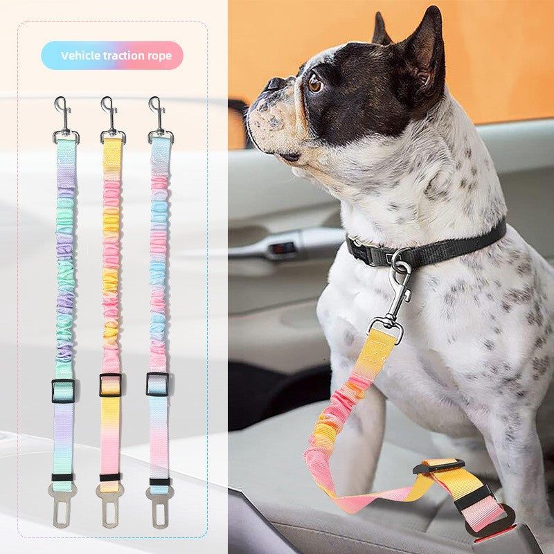 Pet dog leash