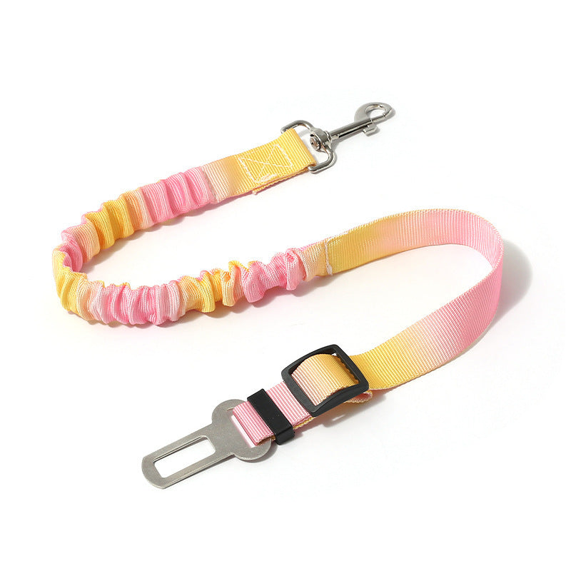 Pet dog leash