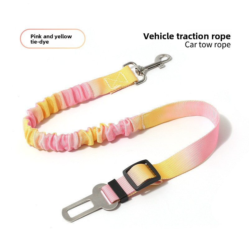 Pet dog leash
