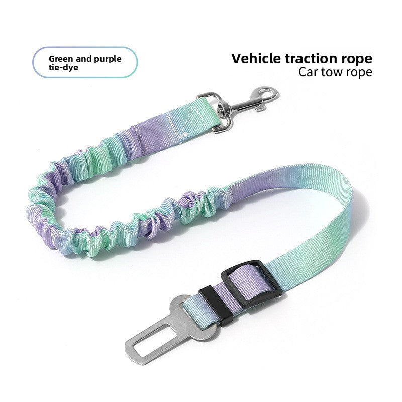 Pet dog leash