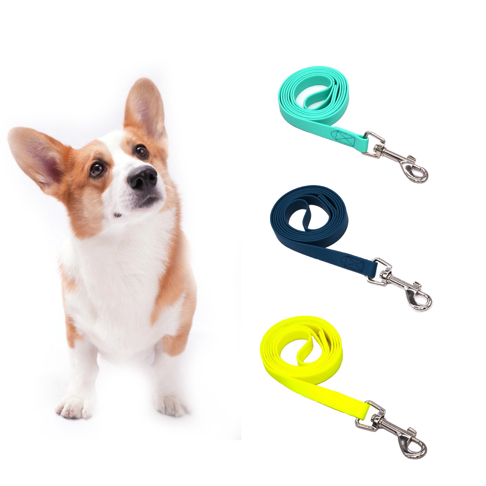 Pet Dog Leash