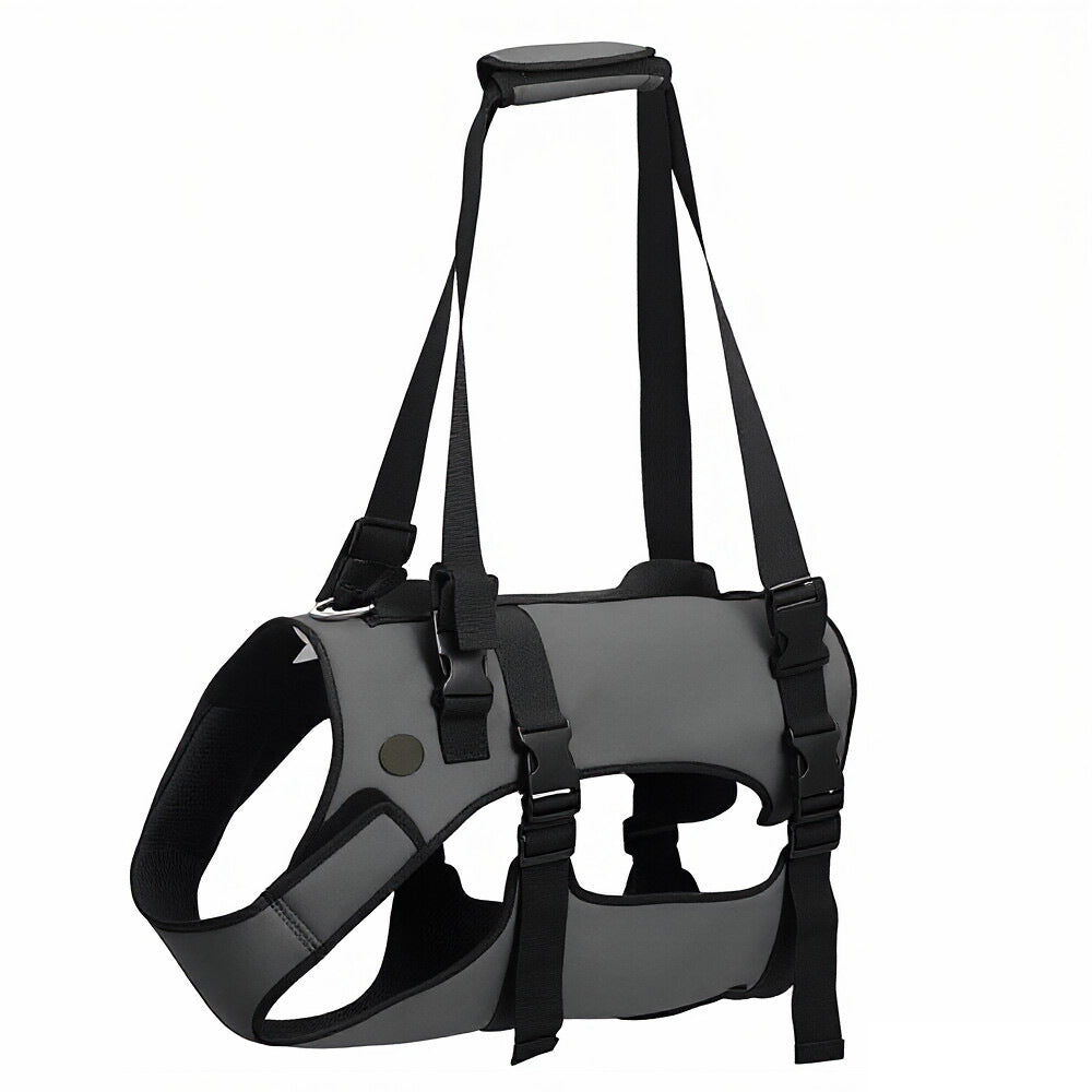 Pet Dog Leg Strength Training Harness for Elderly Dogs
