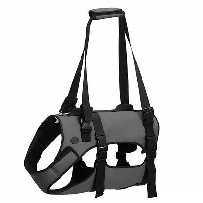 Pet Dog Leg Strength Training Harness for Elderly Dogs