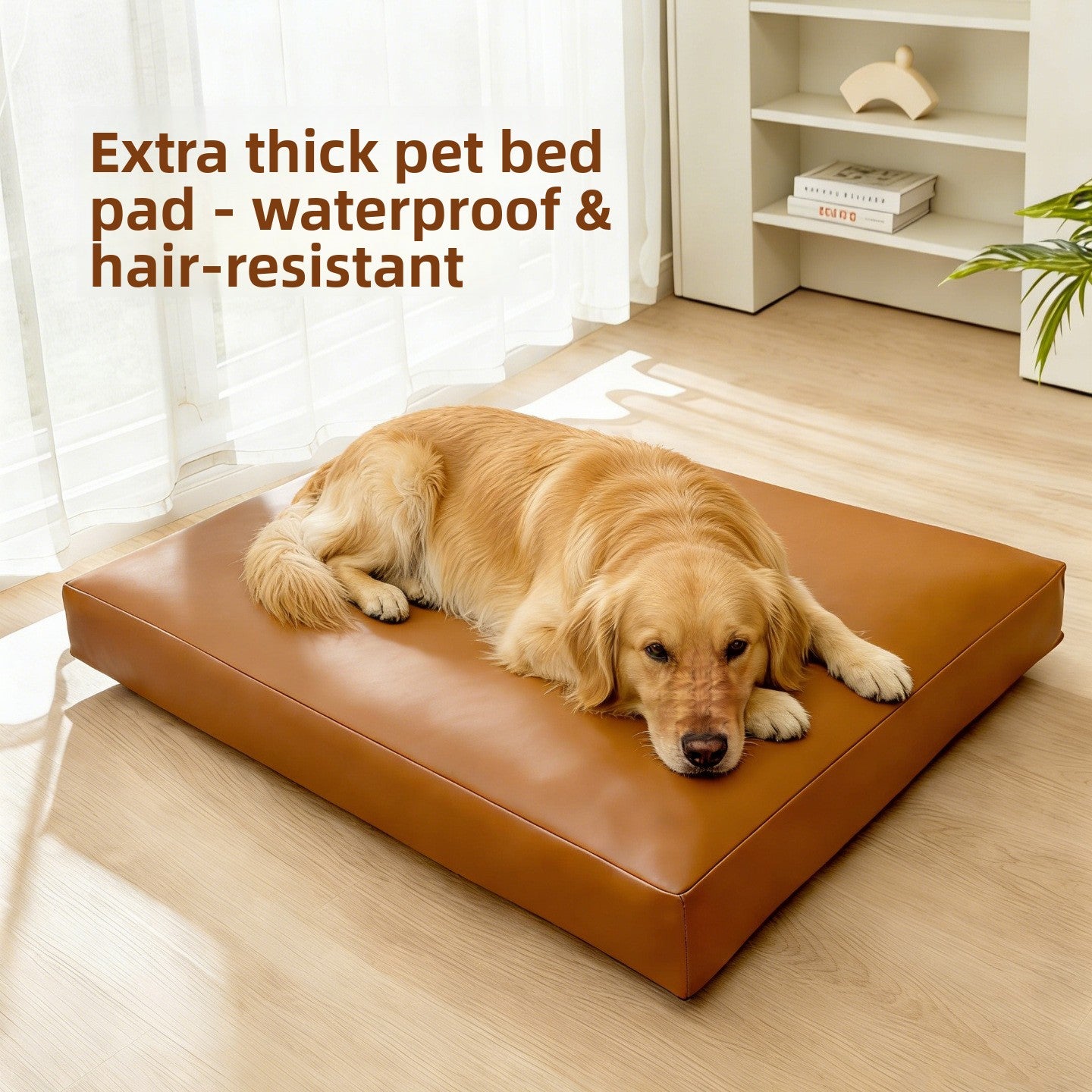 Pet Dog Mat