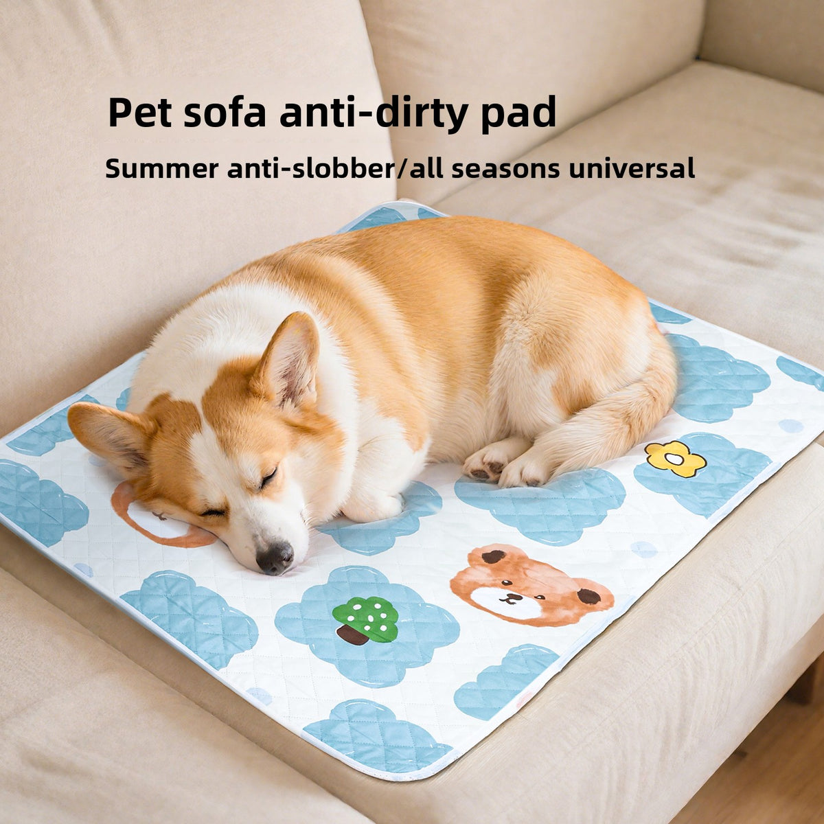 Pet Dog Mat