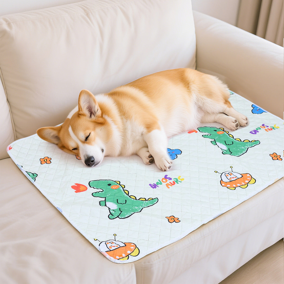 Pet Dog Mat