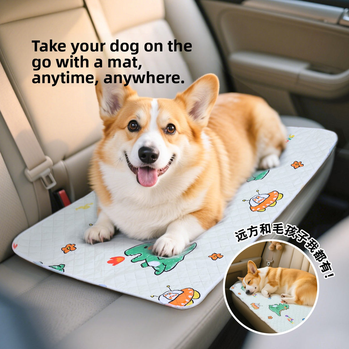 Pet Dog Mat