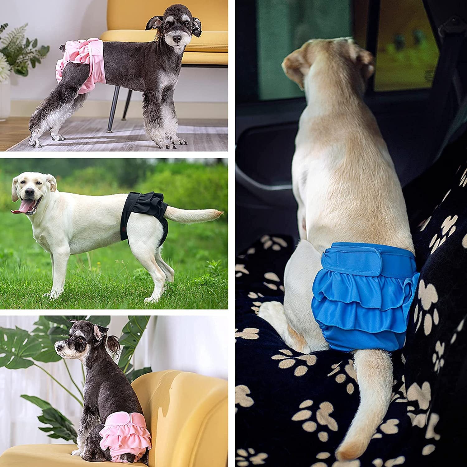 Pet dog maternity pants