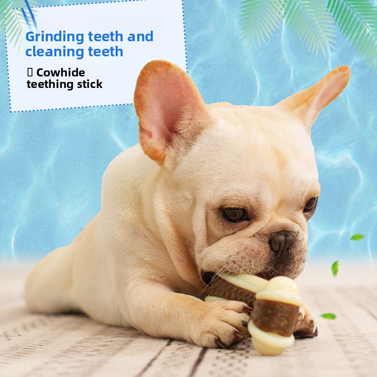 Pet Dog Molar Curved Bone