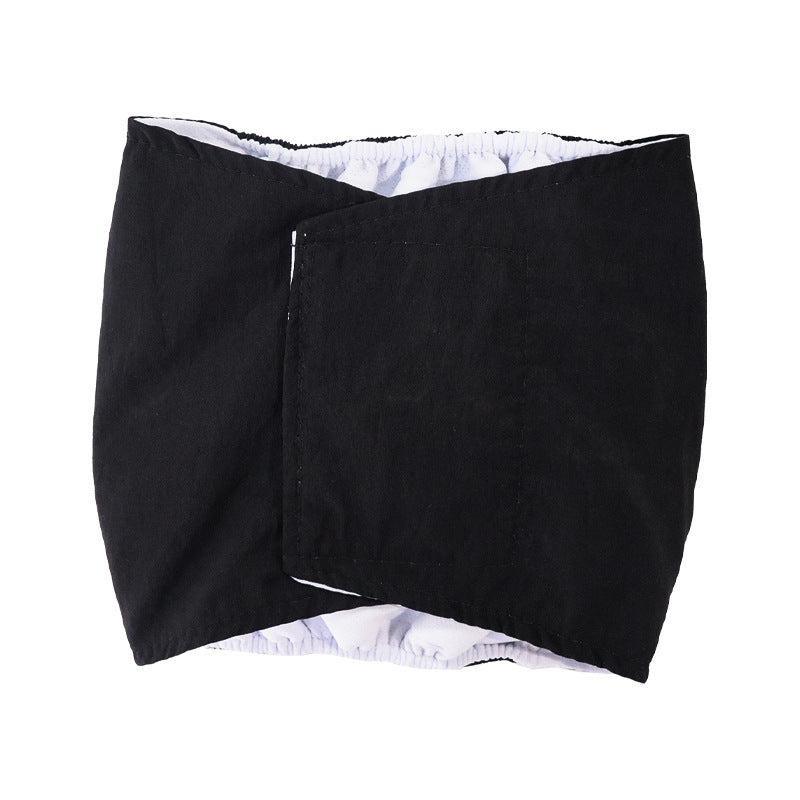 Pet dog pants