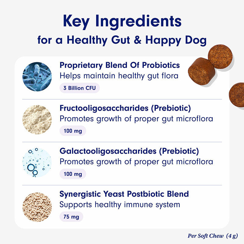 Pet dog probiotics