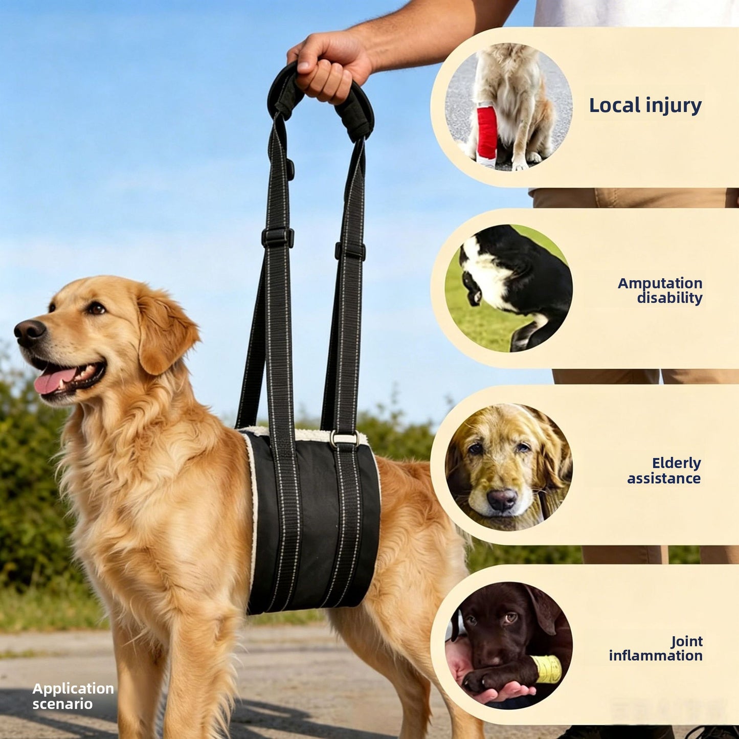 Pet Dog Rear Leg Injury Recovery Support Harness