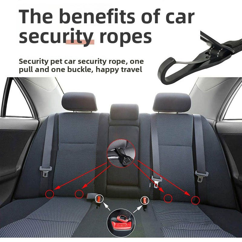 Pet dog safety belts