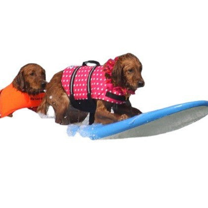 Pet Dog Swimming Safety Vest