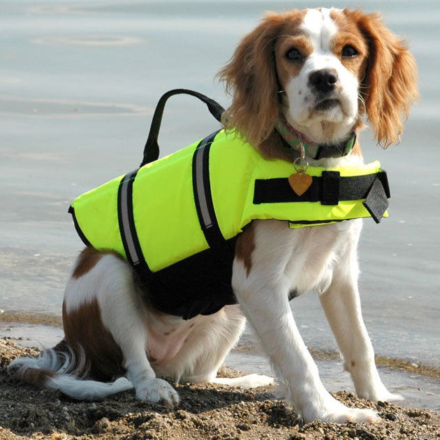 Pet Dog Swimming Safety Vest