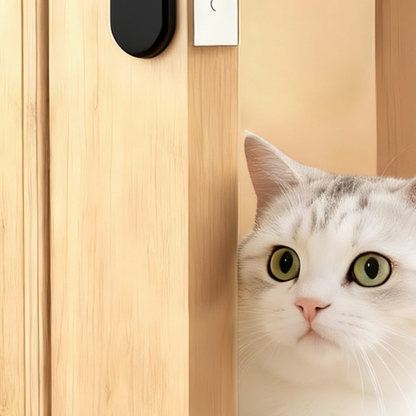 Pet Door Tool