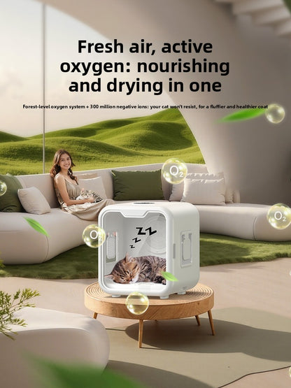 pet drying box