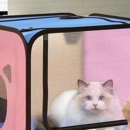 Pet drying cabinet