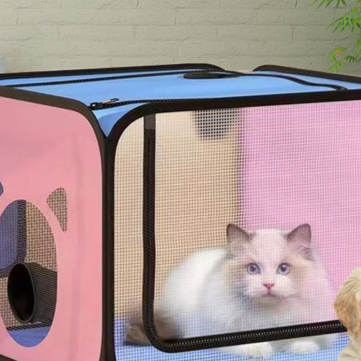 Pet drying cabinet