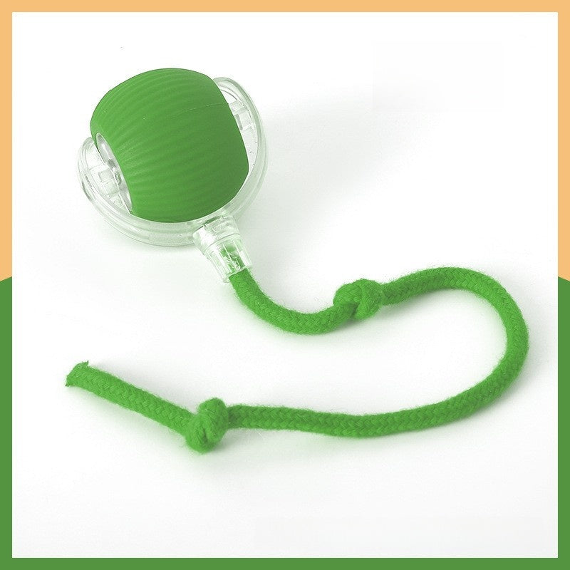 Pet Electric Ball