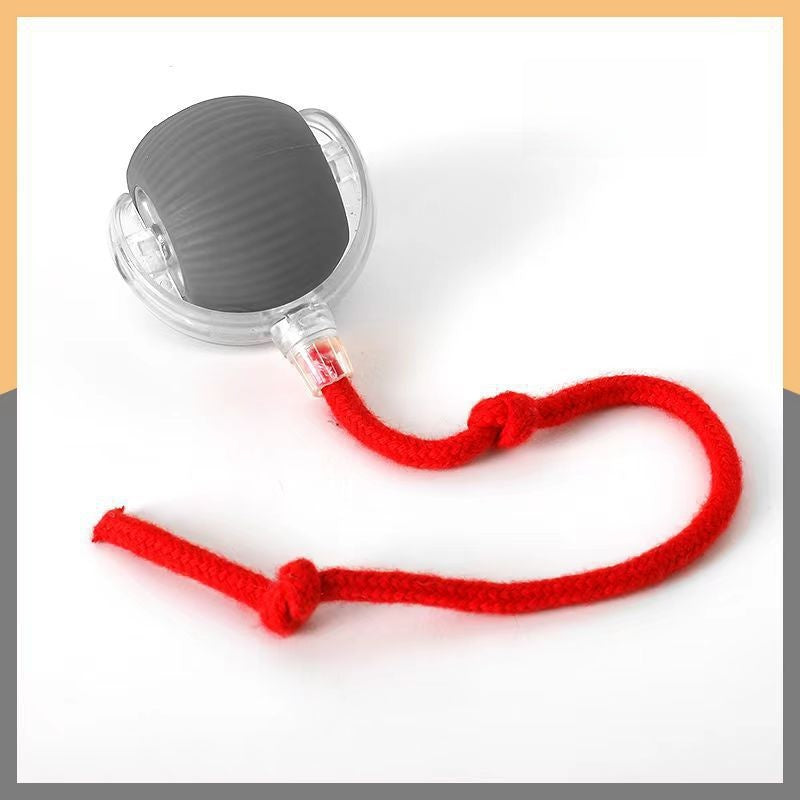 Pet Electric Ball