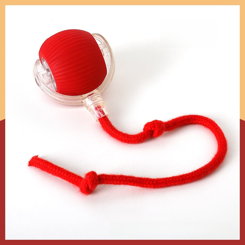 Pet Electric Ball