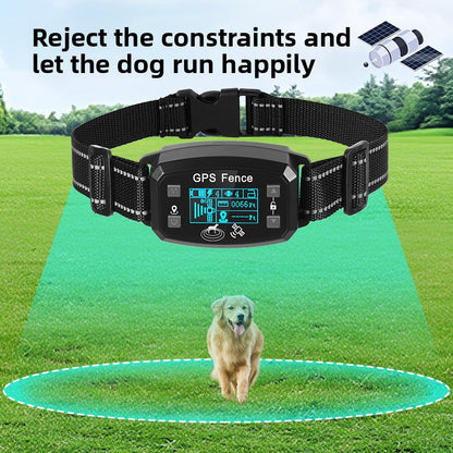 Pet electronic collar