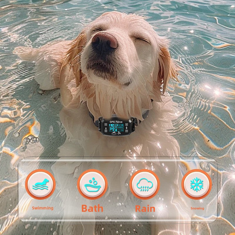 Pet electronic collar