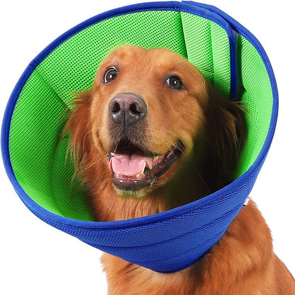 Pet Elizabeth collar