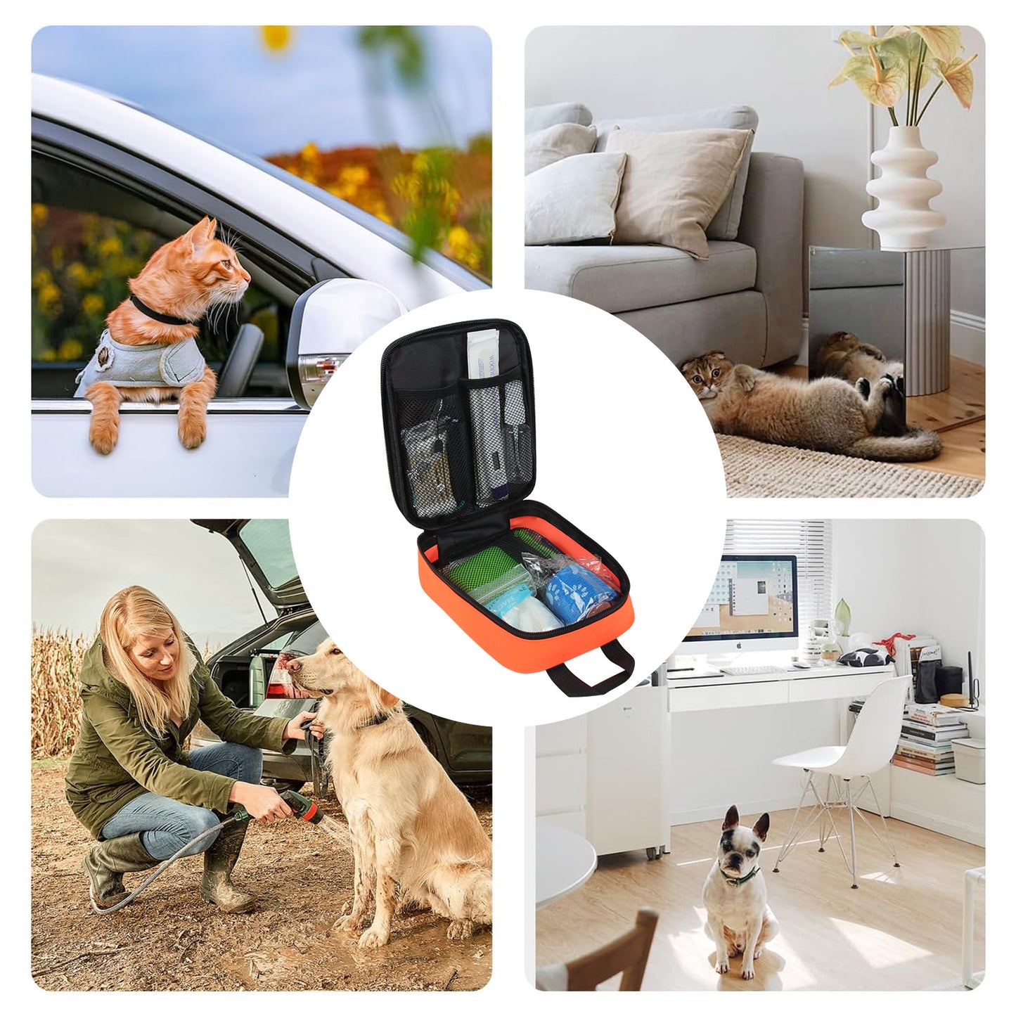 Pet Emergency Rescue Kit