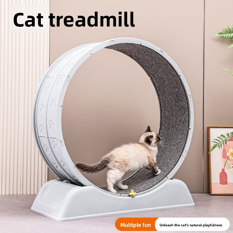 Pet Exercise Wheel