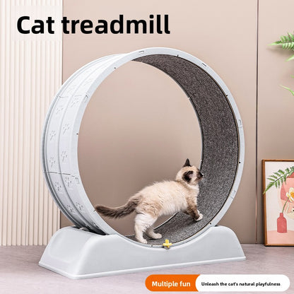 Pet Exercise Wheel