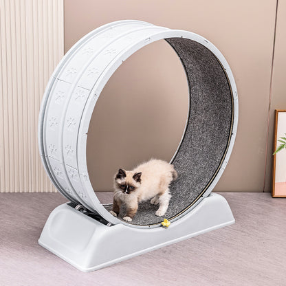 Pet Exercise Wheel