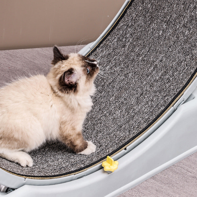 Pet Exercise Wheel