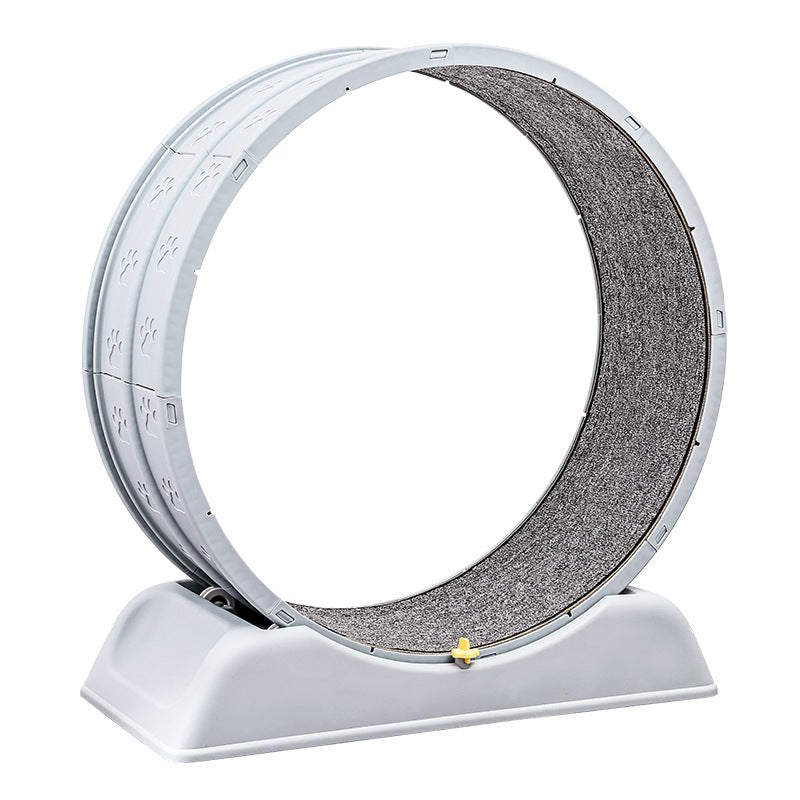 Pet Exercise Wheel