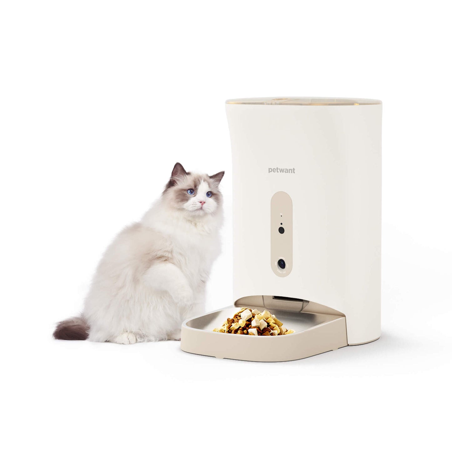 Pet feeder automatic