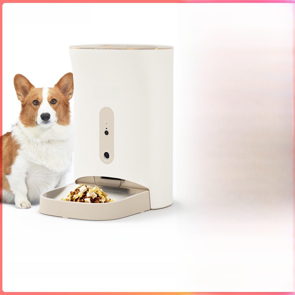 Pet feeder automatic