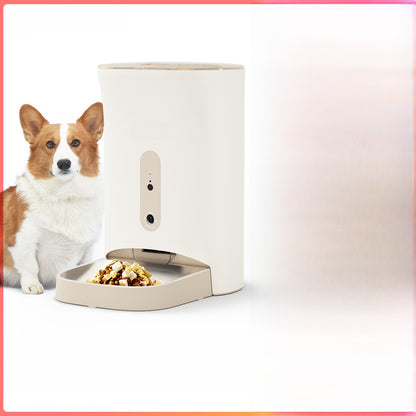 Pet feeder automatic