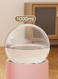 Pet Feeder Set