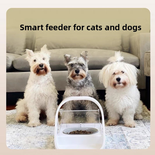 pet feeder