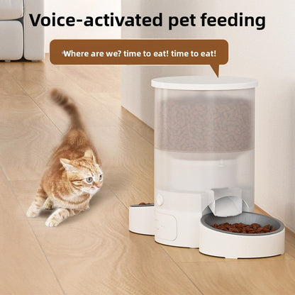pet feeder