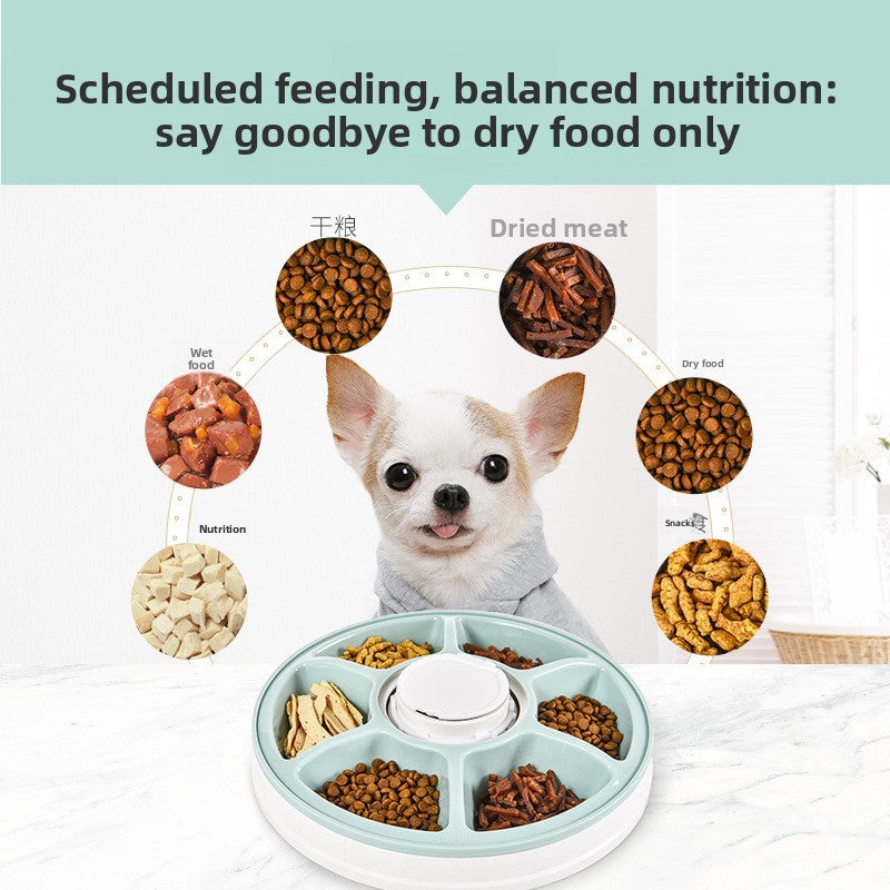 Pet Feeder