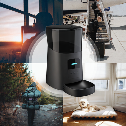 Pet Feeder