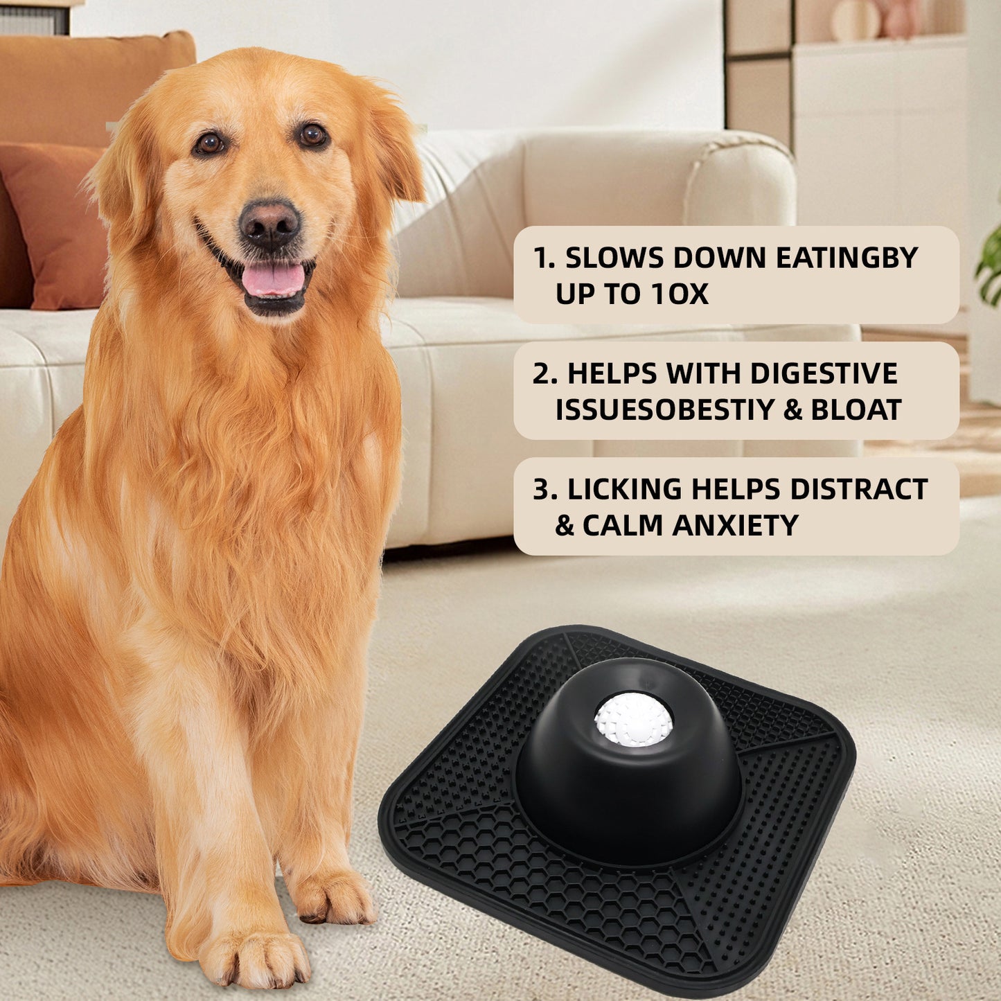 Pet Feeding Bowl