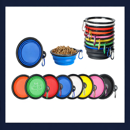 Pet Feeding Bowl