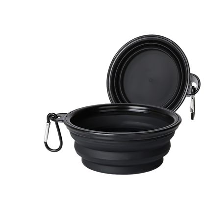 Pet Feeding Bowl