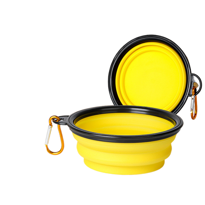 Pet Feeding Bowl