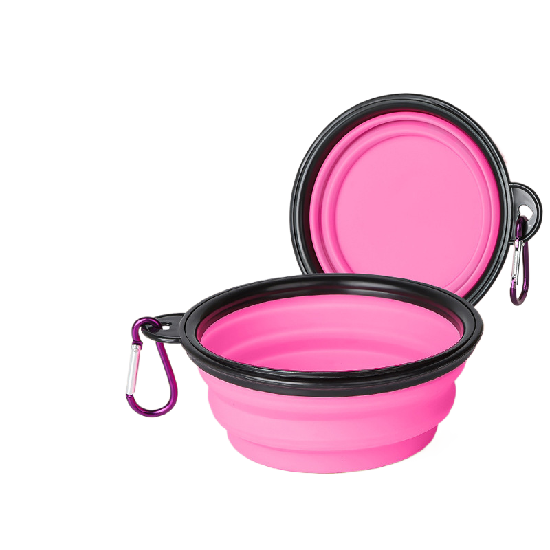 Pet Feeding Bowl