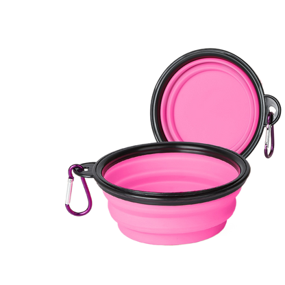 Pet Feeding Bowl